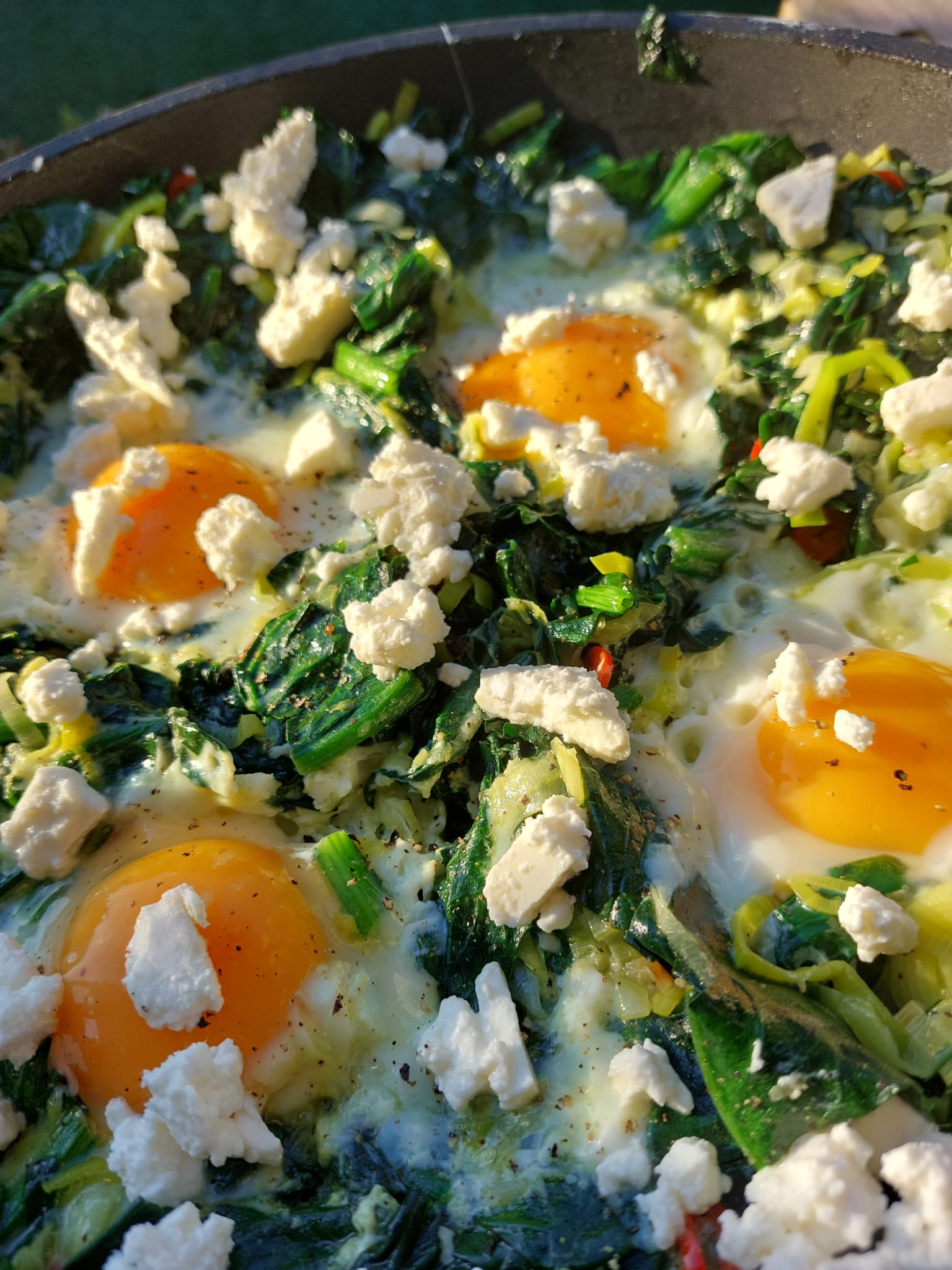 TLV - jigal Krant groene shakshuka