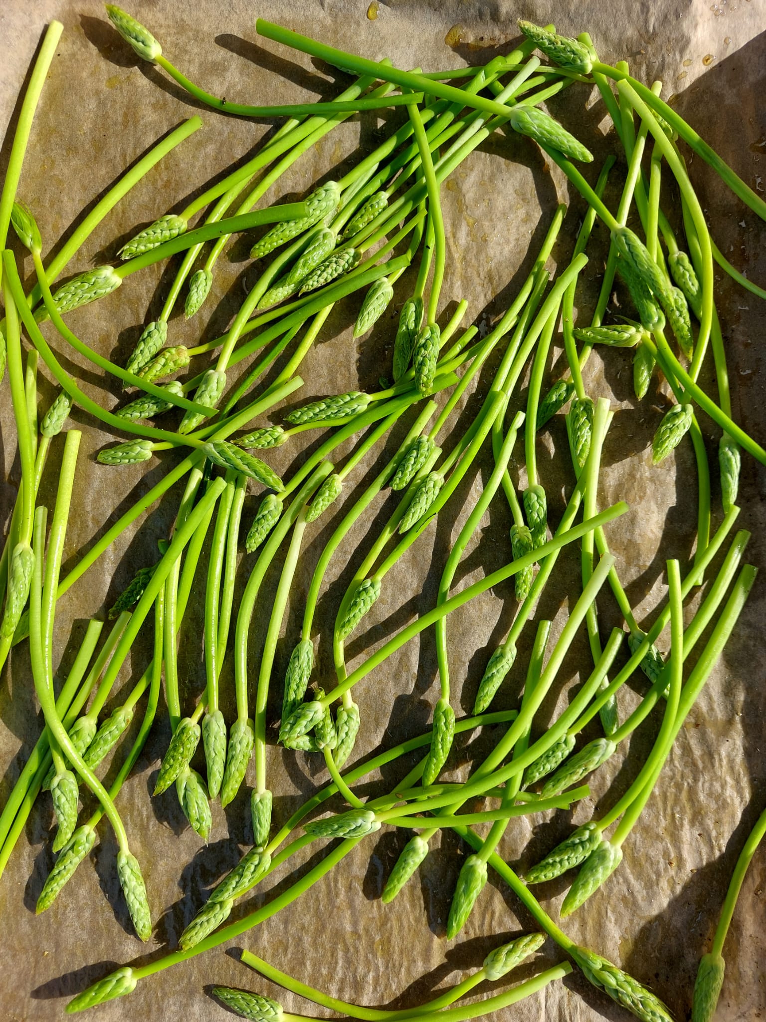 korenaar asperges met pompoenpitolie