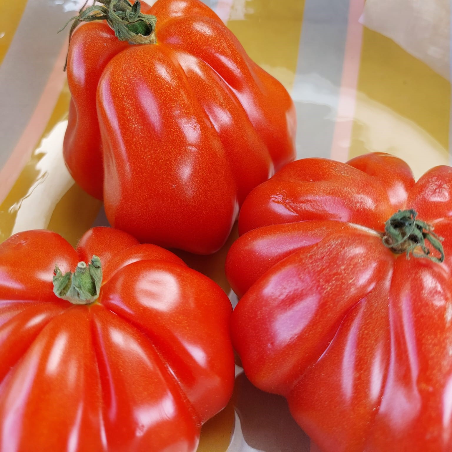 tomaat coeur de boeuf