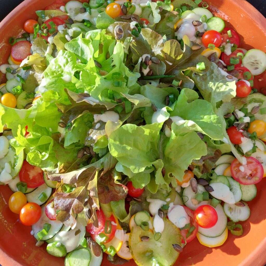 moestuinsalade met yoghurtdressing