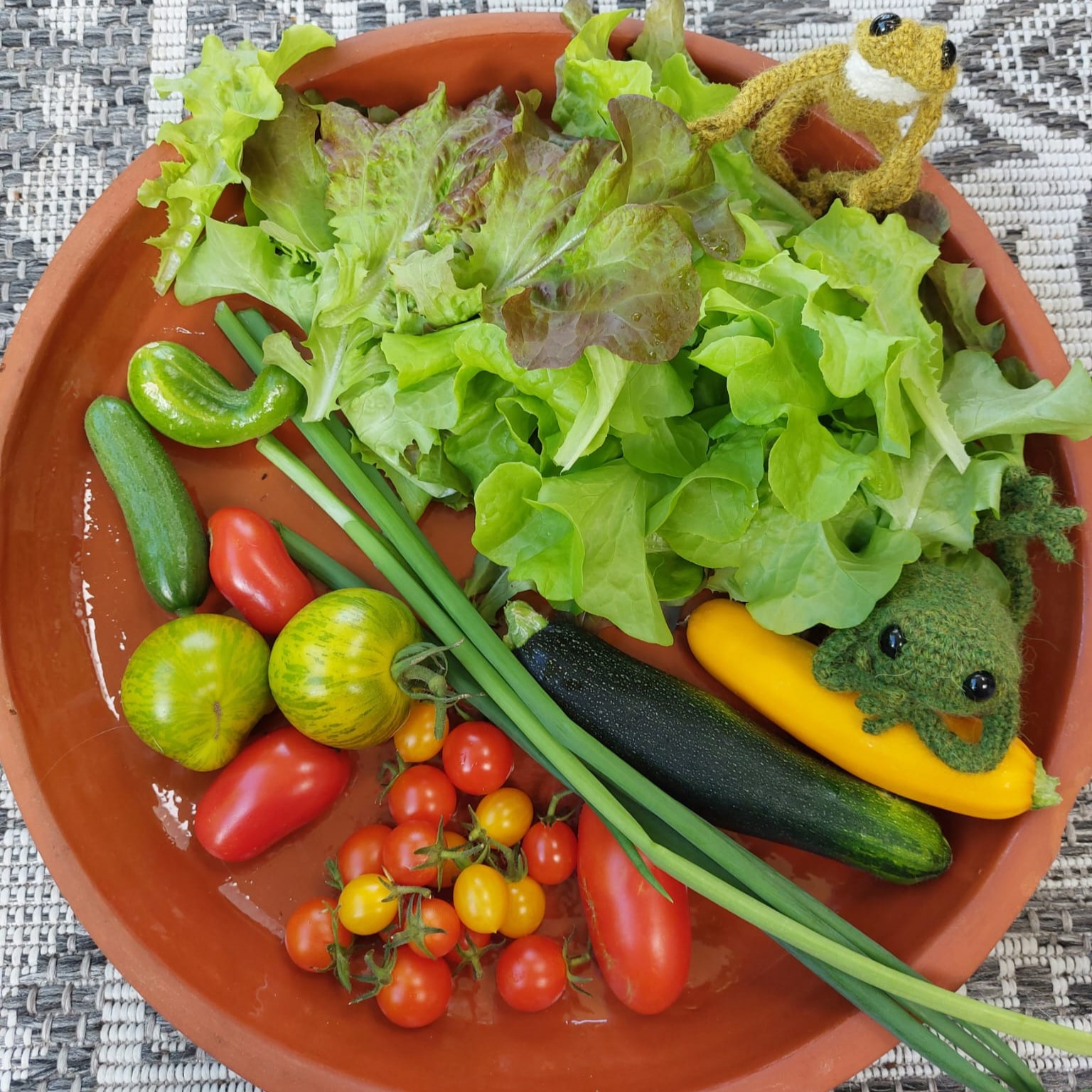 moestuinsalade met yoghurtdressing