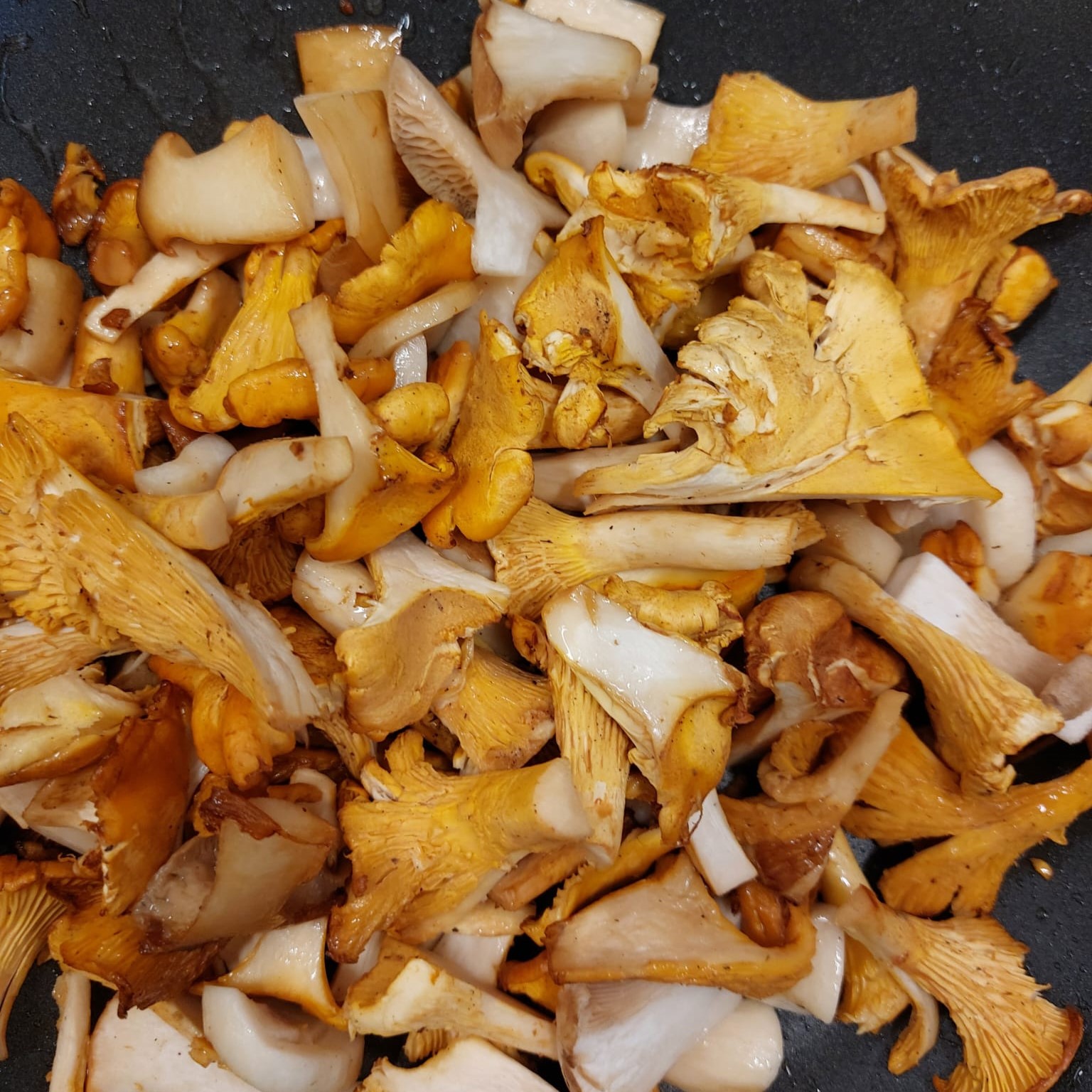 risotto met cantharellen en truffel